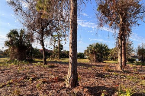 Terreno en venta en Rotonda, Florida № 1424372 - foto 9