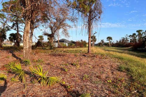 Terreno en venta en Rotonda, Florida № 1424372 - foto 8