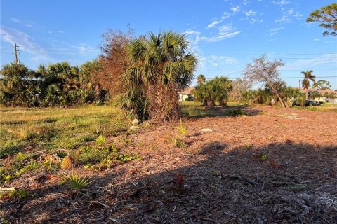 Terreno en venta en Rotonda, Florida № 1424372 - foto 7