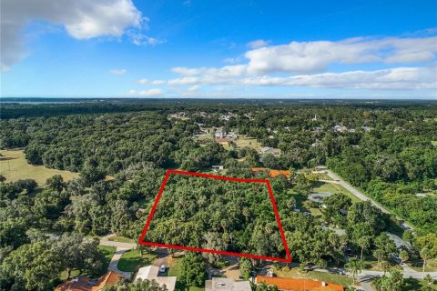 Terreno en venta en Mount Dora, Florida № 1382542 - foto 8