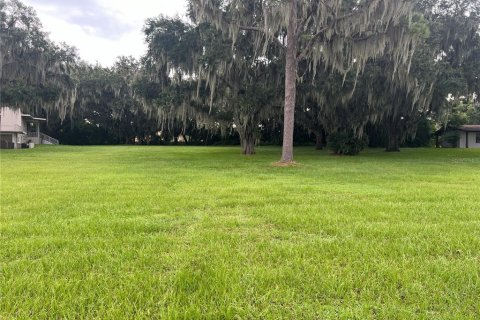 Terreno en venta en Orlando, Florida № 1382544 - foto 3