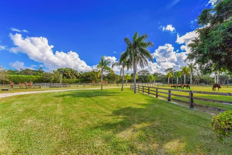 Villa ou maison à vendre à Palm City, Floride: 7 chambres, 588.44 m2 № 841850 - photo 10