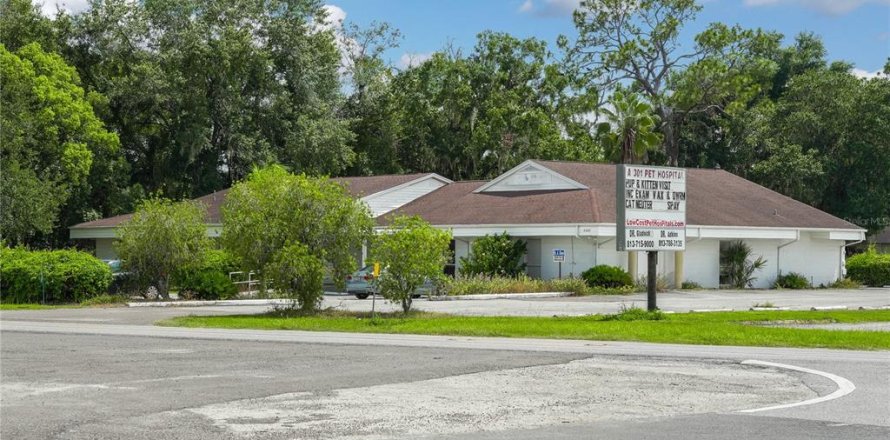 Commercial property in Zephyrhills, Florida 487.55 sq.m. № 1298655