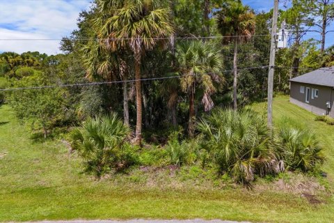 Terreno en venta en Palm Coast, Florida № 1334856 - foto 4