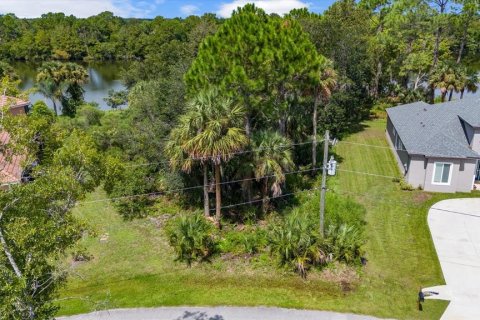 Terreno en venta en Palm Coast, Florida № 1334856 - foto 5