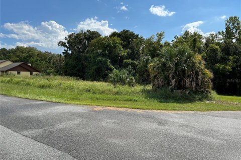 Terreno en venta en Leesburg, Florida № 1373199 - foto 7