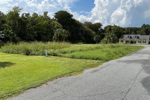 Land in Leesburg, Florida № 1373199 - photo 2