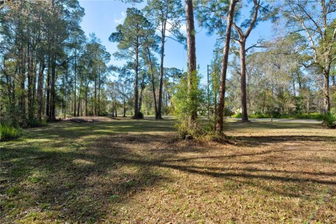 Terrain à vendre à New Port Richey, Floride № 977557 - photo 3