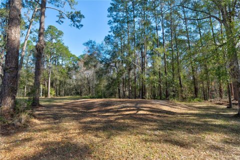 Terrain à vendre à New Port Richey, Floride № 977557 - photo 7