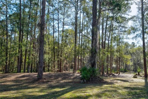 Terrain à vendre à New Port Richey, Floride № 977557 - photo 8