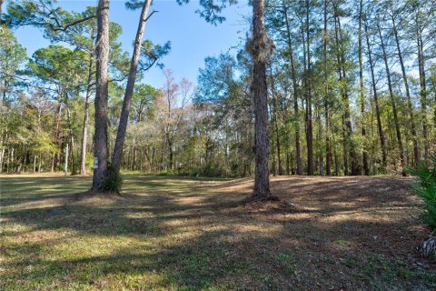 Terrain à vendre à New Port Richey, Floride № 977557 - photo 6