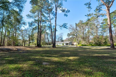 Terrain à vendre à New Port Richey, Floride № 977557 - photo 4