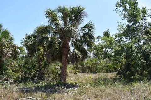 Land in Port Charlotte, Florida № 716979 - photo 1