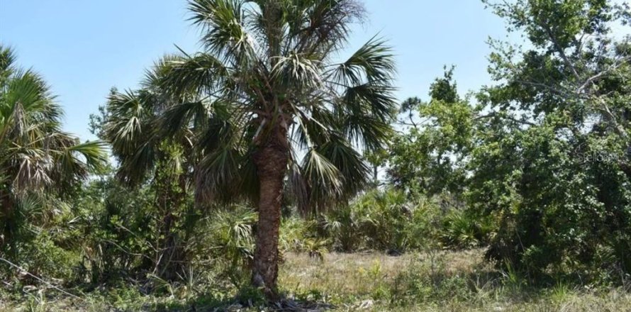 Terrain à Port Charlotte, Floride № 716979