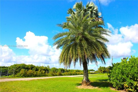 Terrain à vendre à Miami, Floride № 1360543 - photo 4