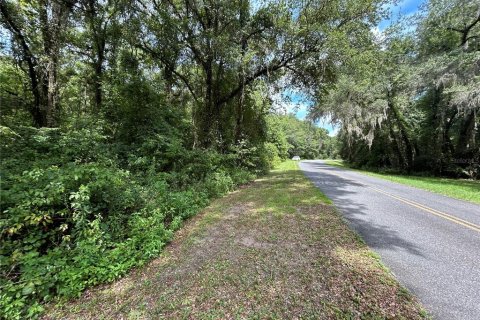 Terreno en venta en Lake City, Florida № 1279481 - foto 5