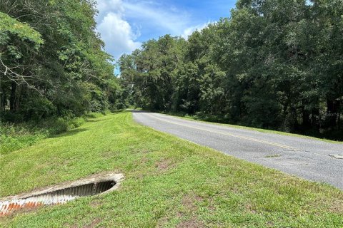 Terreno en venta en Lake City, Florida № 1279481 - foto 4