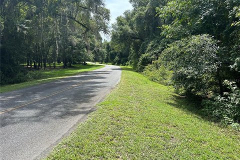 Land in Lake City, Florida № 1279481 - photo 6