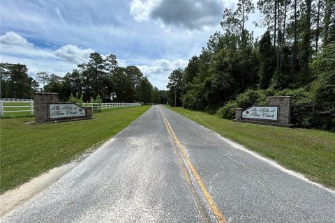 Terreno en venta en Lake City, Florida № 1279481 - foto 2