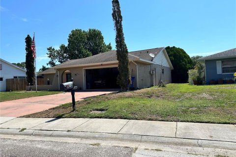 Villa ou maison à vendre à New Port Richey, Floride: 2 chambres, 164.72 m2 № 1268637 - photo 1