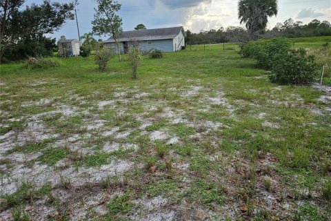 House in Lake Placid, Florida 3 bedrooms, 108.7 sq.m. № 1374066 - photo 26