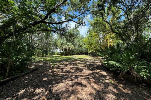 Terrain à vendre à Seminole, Floride № 1374096 - photo 5