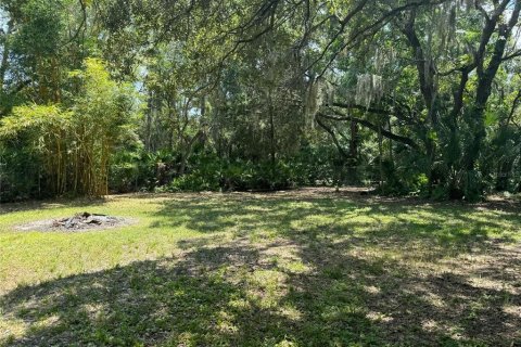 Terreno en venta en Seminole, Florida № 1374096 - foto 8