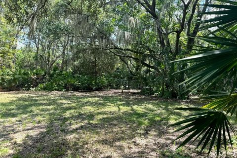 Terreno en venta en Seminole, Florida № 1374096 - foto 4