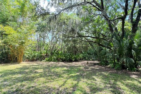 Terrain à vendre à Seminole, Floride № 1374096 - photo 3