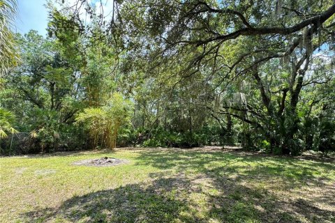 Land in Seminole, Florida № 1374096 - photo 1