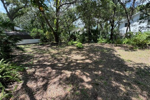 Terreno en venta en Seminole, Florida № 1374096 - foto 6