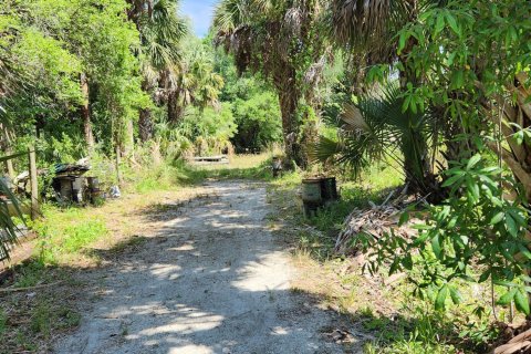 Купить земельный участок в Окичоби, Флорида № 1168778 - фото 5