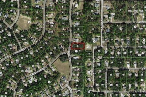 Terreno en venta en Inverness, Florida № 1314017 - foto 5