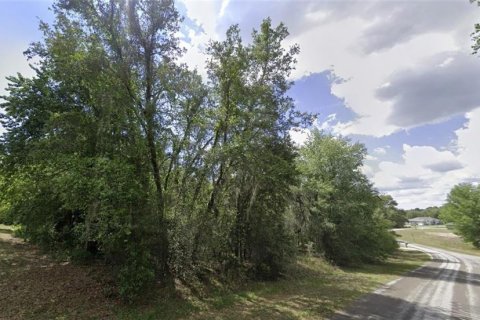 Terreno en venta en Inverness, Florida № 1314017 - foto 2