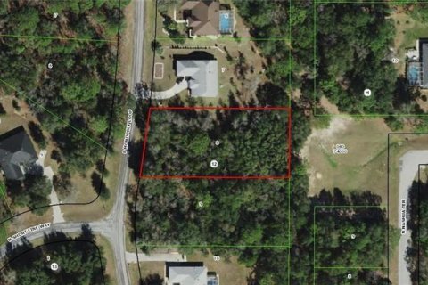 Terreno en venta en Inverness, Florida № 1314017 - foto 6