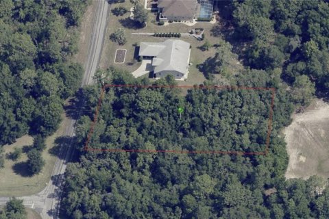 Terreno en venta en Inverness, Florida № 1314017 - foto 1