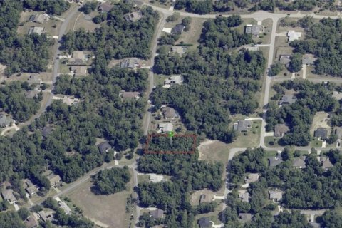 Terreno en venta en Inverness, Florida № 1314017 - foto 4