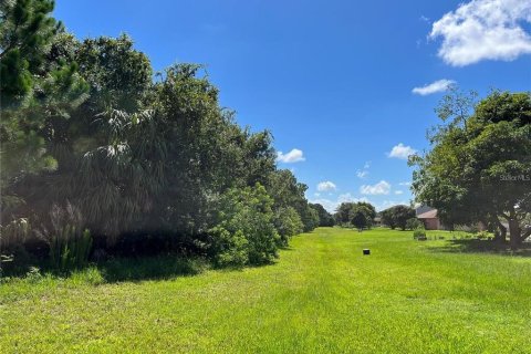 Terreno en venta en Punta Gorda, Florida № 1389393 - foto 5