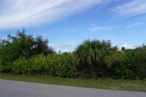 Terrain à vendre à Port Charlotte, Floride № 1105152 - photo 5