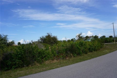 Terrain à vendre à Port Charlotte, Floride № 1105152 - photo 6