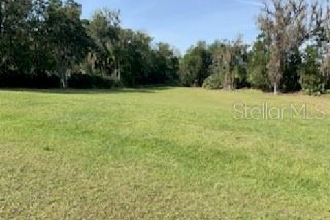 Land in Dade City, Florida № 993112 - photo 6