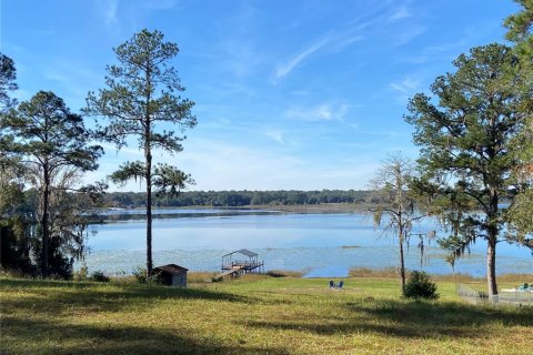 Land in Hawthorne, Florida № 1296186 - photo 17