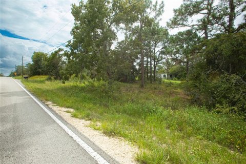 Land in Brooksville, Florida № 1359516 - photo 6