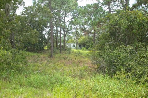 Terreno en venta en Brooksville, Florida № 1359516 - foto 8