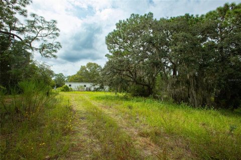 Terreno en venta en Brooksville, Florida № 1359516 - foto 9