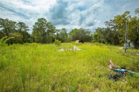 Terreno en venta en Brooksville, Florida № 1359516 - foto 12