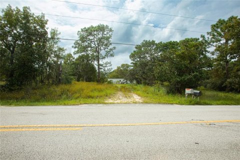 Land in Brooksville, Florida № 1359516 - photo 5