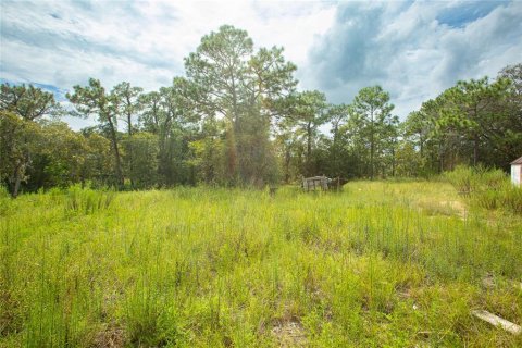 Land in Brooksville, Florida № 1359516 - photo 13