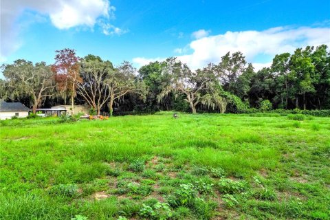 Terreno en venta en Apopka, Florida № 1285161 - foto 7