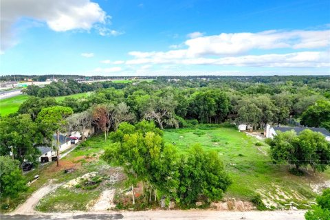 Land in Apopka, Florida № 1285161 - photo 5